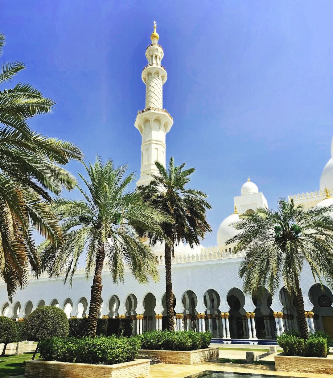White mosque arches and a minaret surrounded by palms