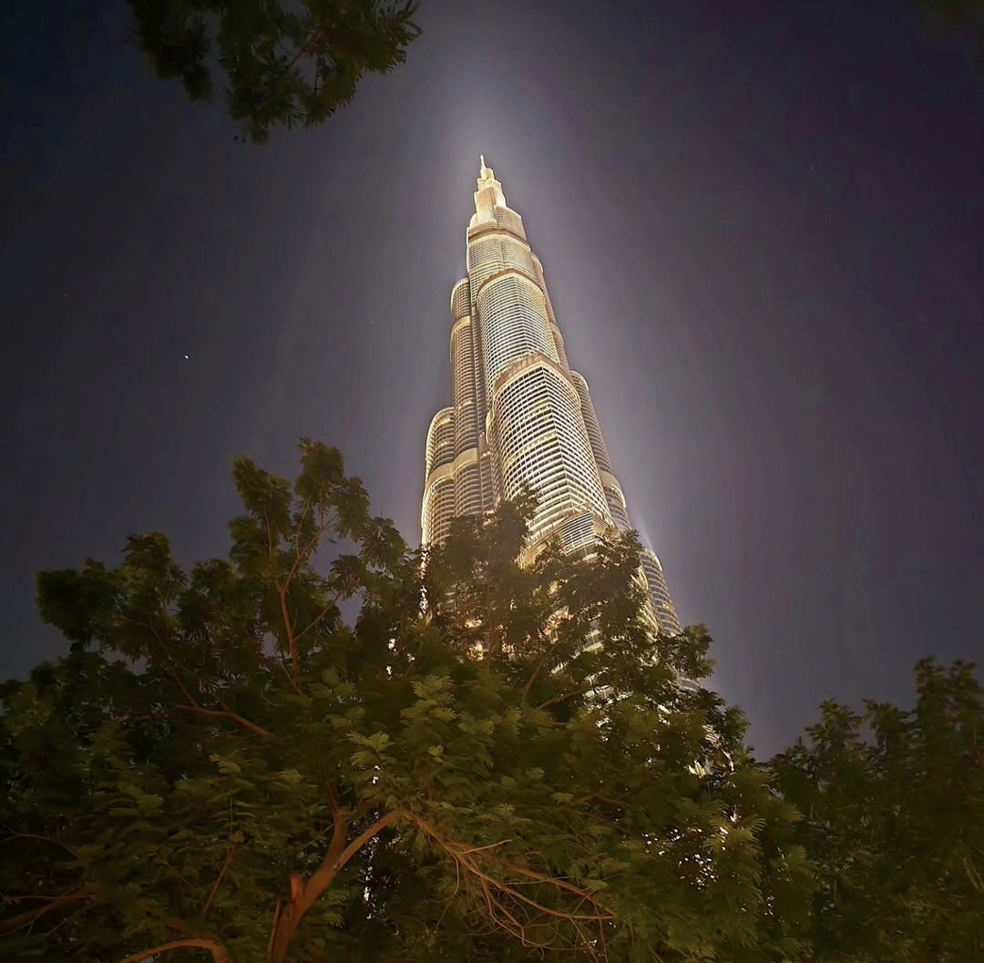 Burj Khalifa illuminated at night above trees